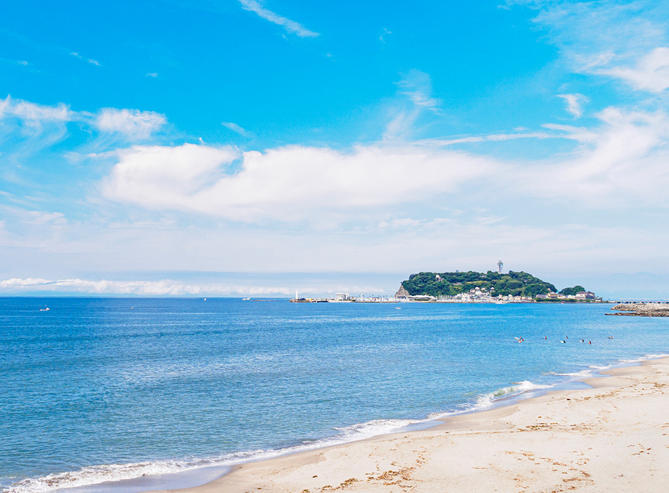 サーフィン事業